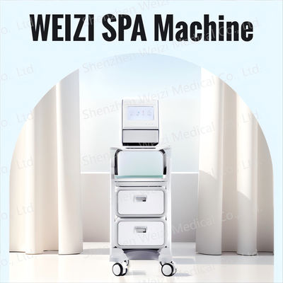 Good price SPA-Maschine mit Salzwasserwasser mit Negativ-Ionen-Technologie Online