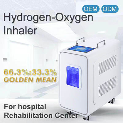 Good price 110v 220v Haus PEM Wasserstoff Inhalationstherapie Maschine 3000ml Online