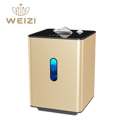 Good price 225 ml/min SPE PEM Wasserstoff-Inhalationsmaschine mit 99,992% Reinheit Online