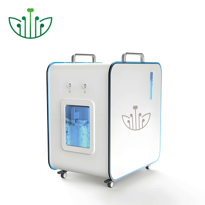 Good price 900ml Wasserstoff-Inhalationsgerät mit 600ml/min H2-Ausstoß Online